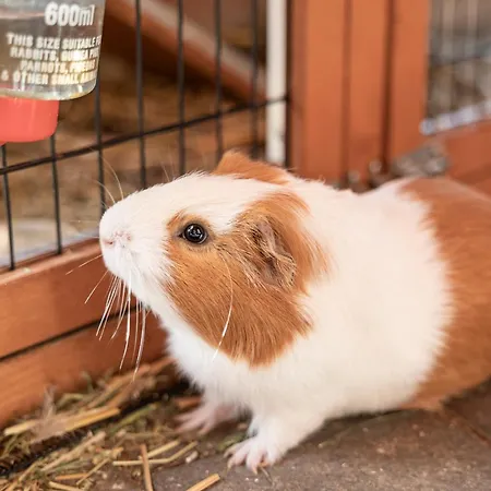 Ausserwieserhof * Neustift im Stubaital